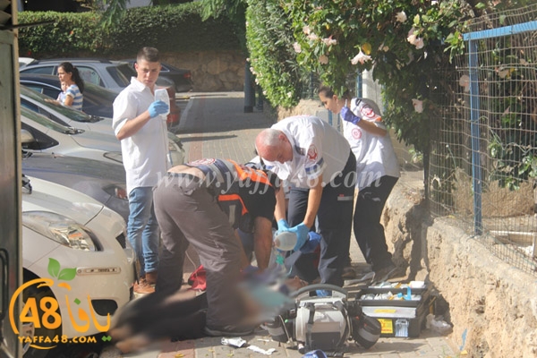 fall from above (5).JPG